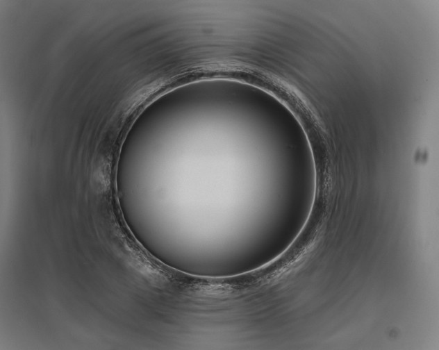 X0000096150833200801181200