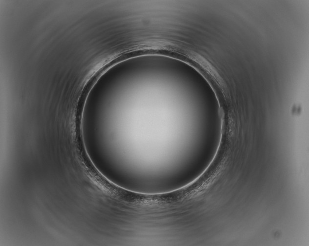 X0000096150834200801181200
