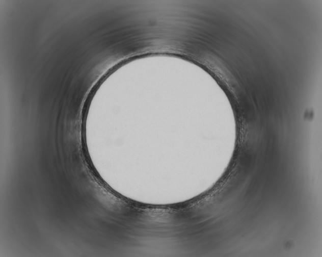 X0000096150836200801181200