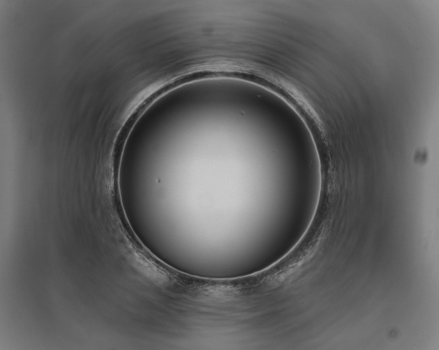 X0000096150837200801181200