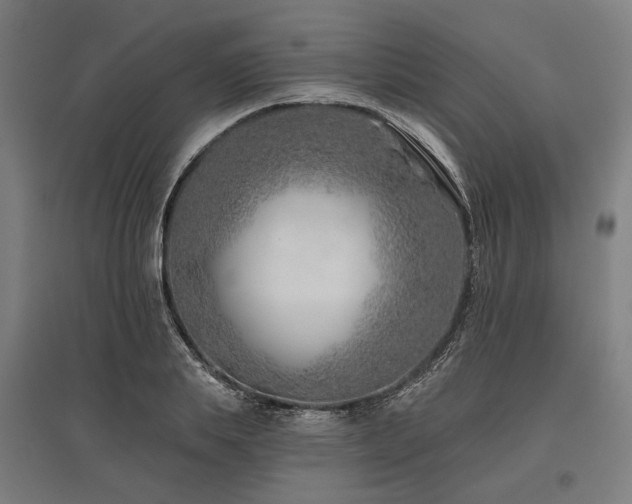 X0000096150839200801181200