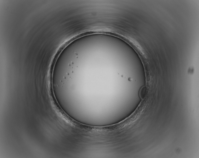 X0000096150840200801181200