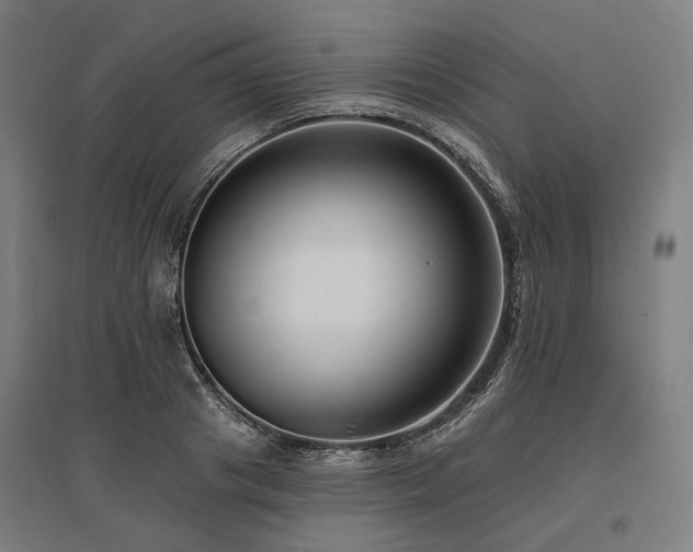 X0000096150841200801181200