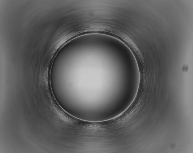 X0000096150842200801181200