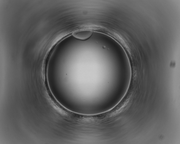 X0000096150843200801181200