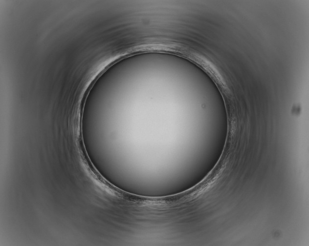 X0000096150844200801181200