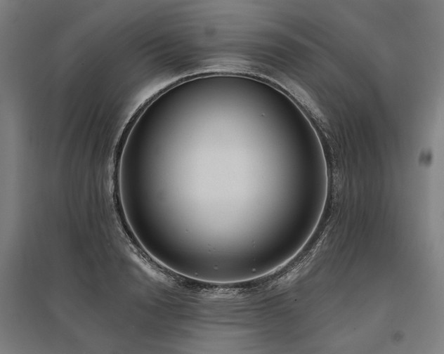 X0000096150846200801181201