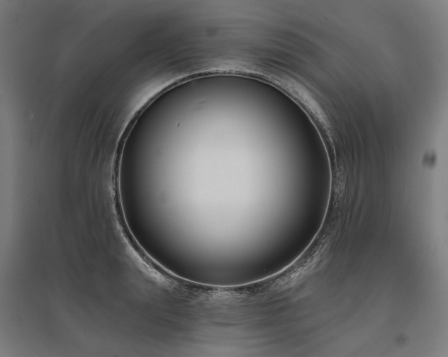 X0000096150847200801181201