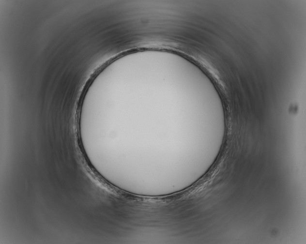 X0000096150848200801181201