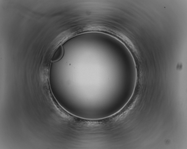X0000096150849200801181201