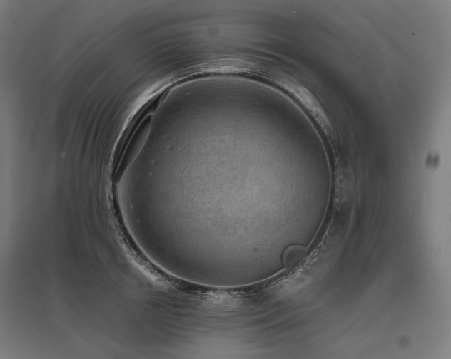 X0000096150850200801181201