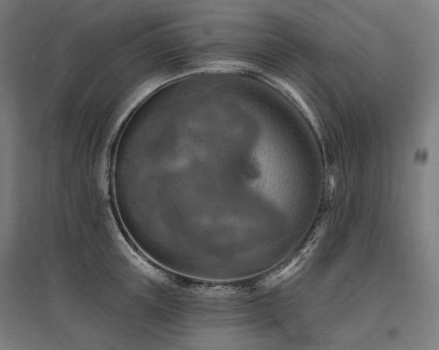 X0000096150851200801181201