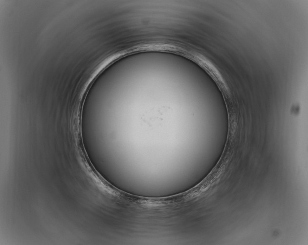 X0000096150852200801181201
