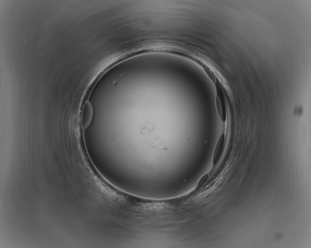 X0000096150853200801181201
