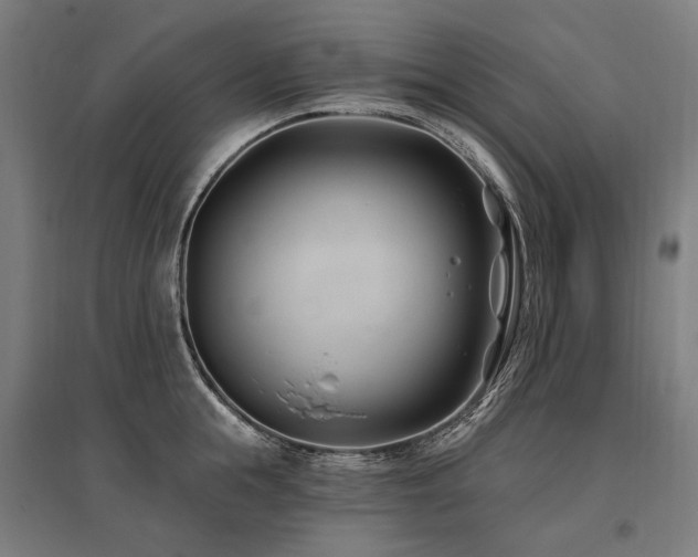 X0000096150855200801181201