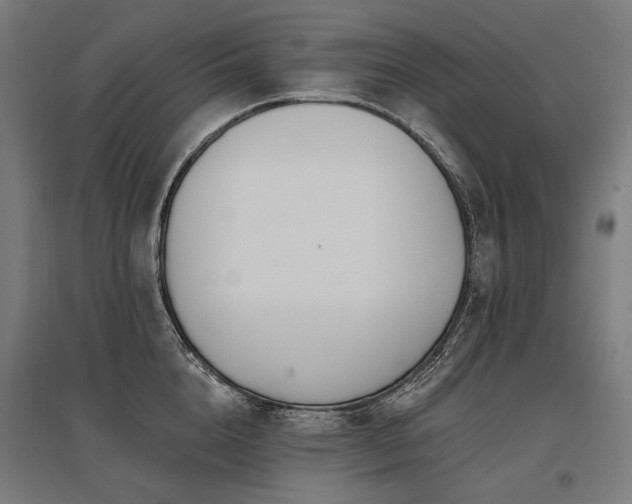 X0000096150856200801181201