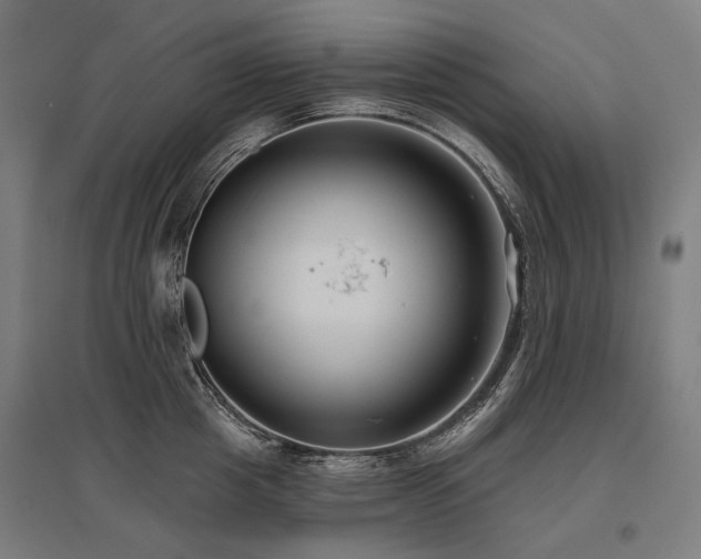 X0000096150857200801181201