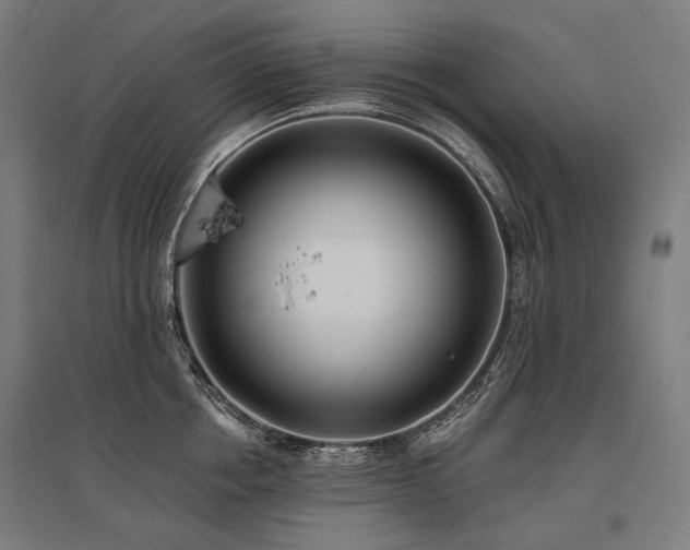 X0000096150858200801181201