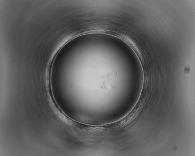 X0000096150859200801181201