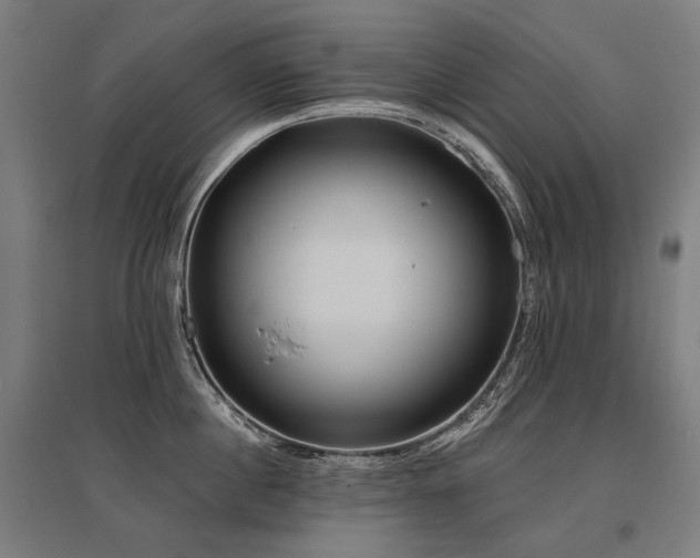 X0000096150860200801181201