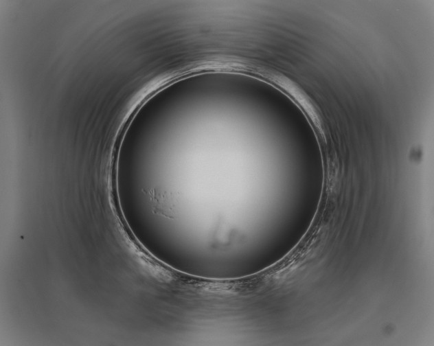 X0000096150861200801181201
