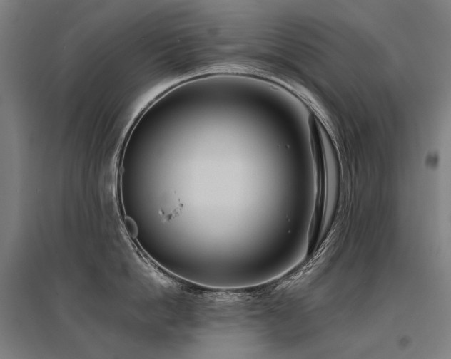 X0000096150862200801181201