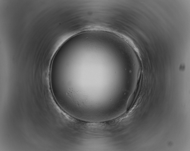 X0000096150863200801181201
