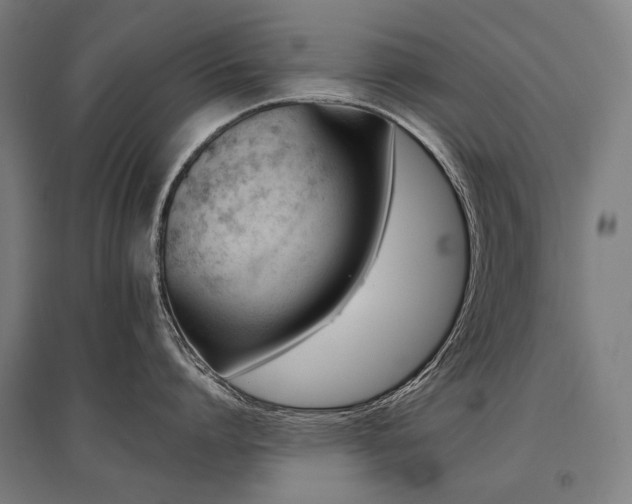 X0000096150864200801181201