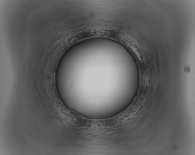 X0000096150865200801181200