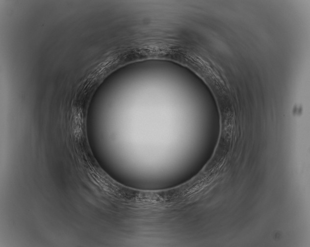 X0000096150866200801181200