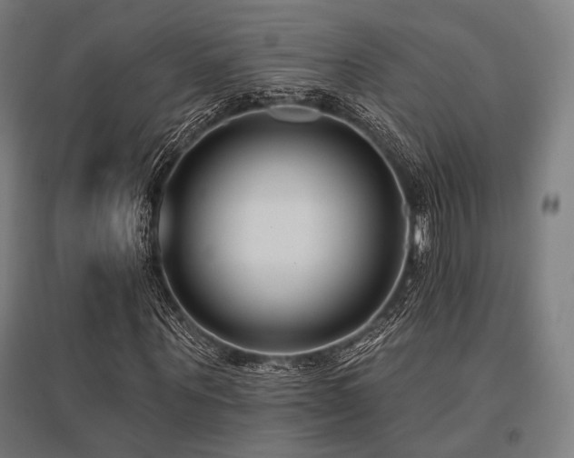 X0000096150867200801181200