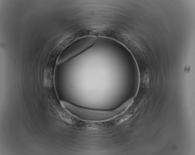 X0000096150868200801181200