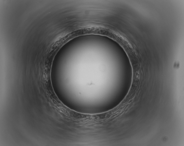 X0000096150869200801181200