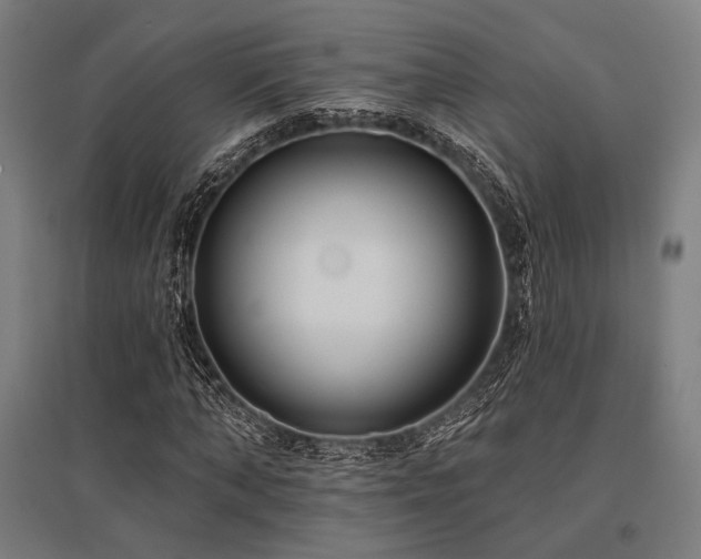 X0000096150870200801181200