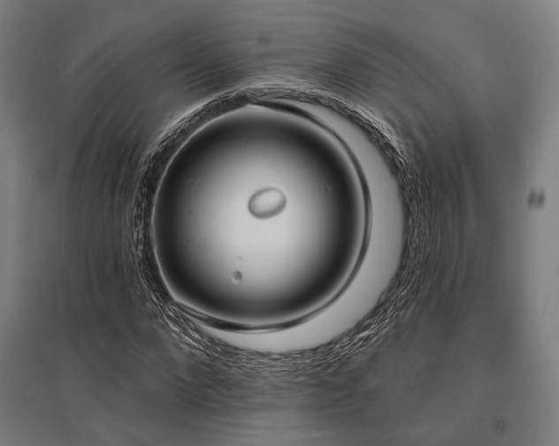 X0000096150872200801181200