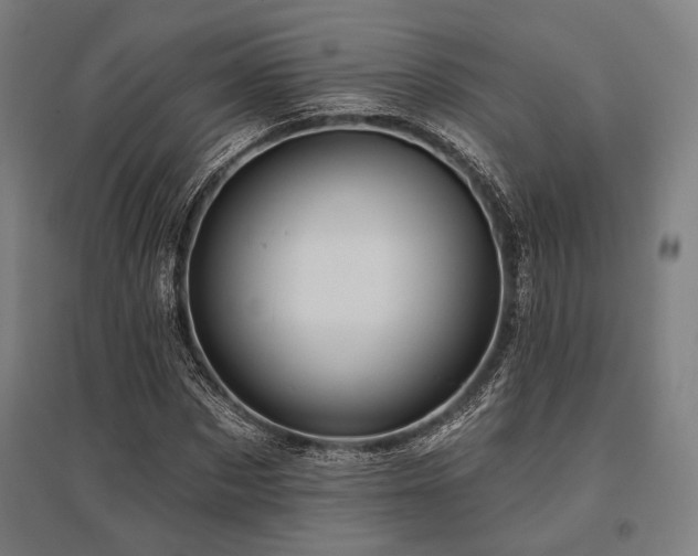 X0000096150873200801181200