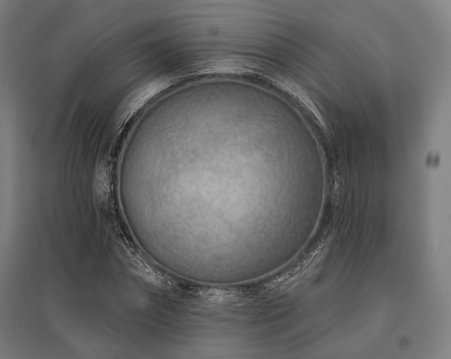 X0000096150874200801181200