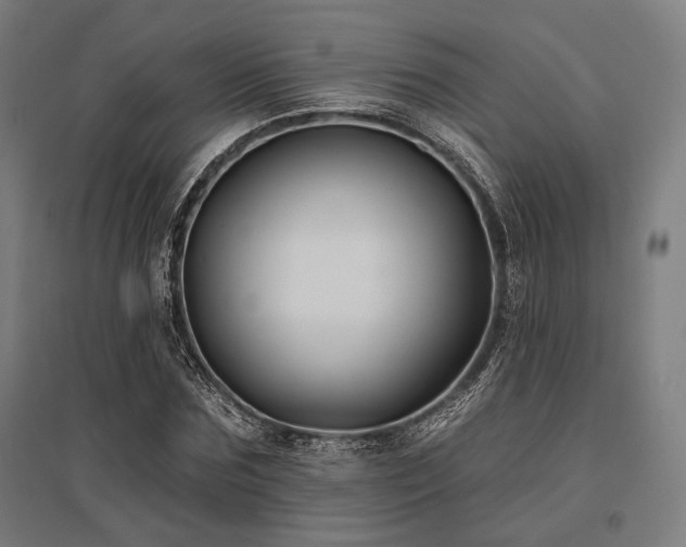 X0000096150875200801181200