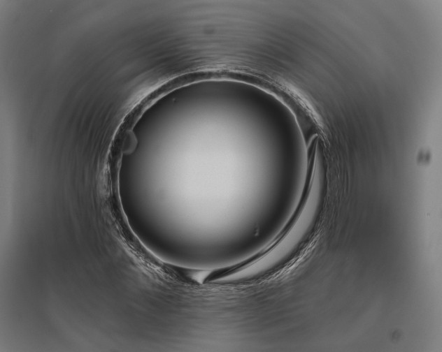X0000096150876200801181200