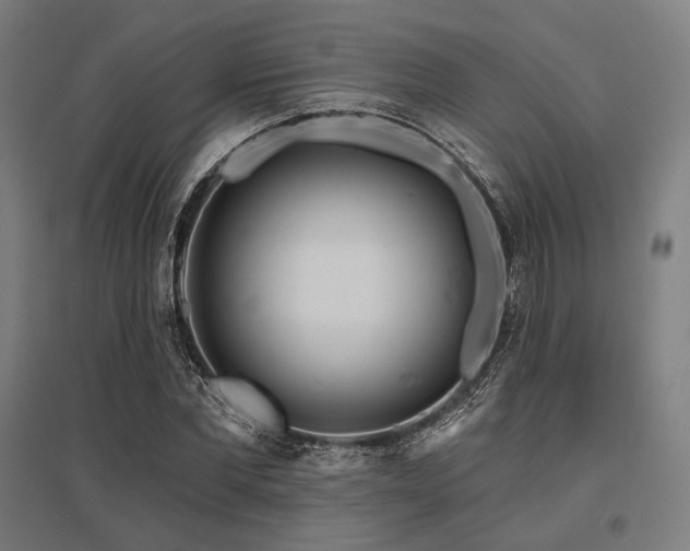 X0000096150877200801181200