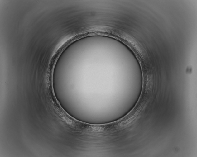 X0000096150878200801181200