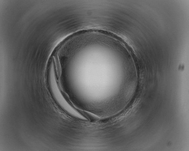 X0000096150879200801181200