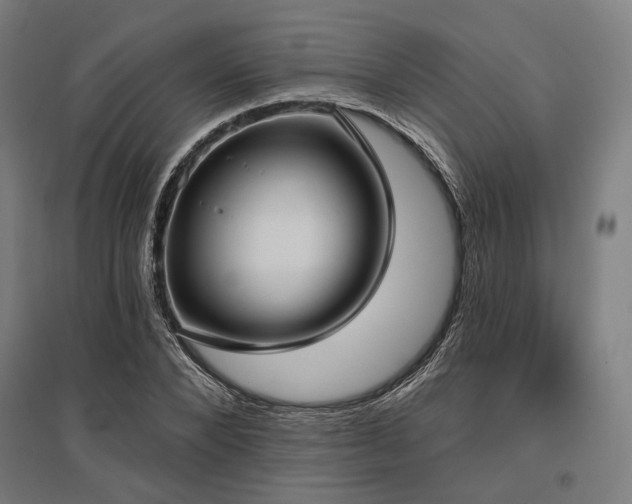 X0000096150880200801181200