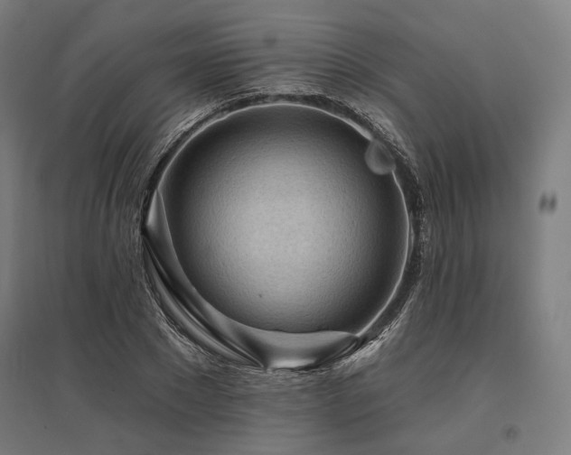 X0000096150881200801181200