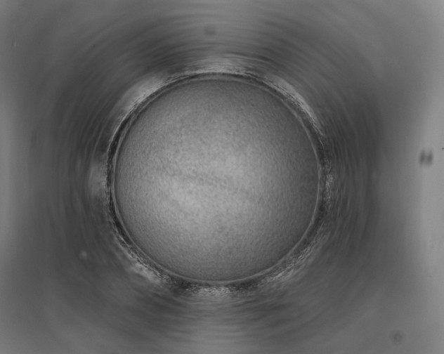 X0000096150882200801181200