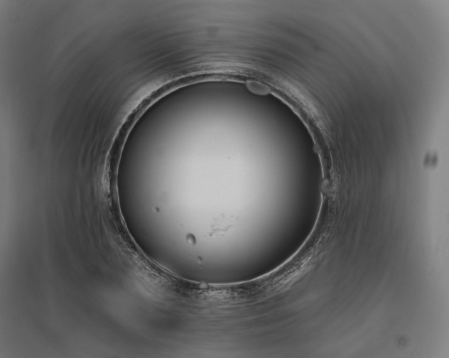 X0000096150883200801181200