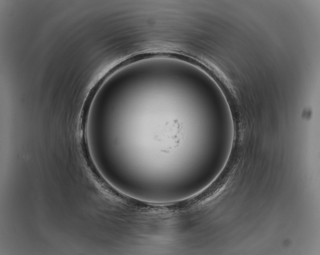 X0000096150885200801181200