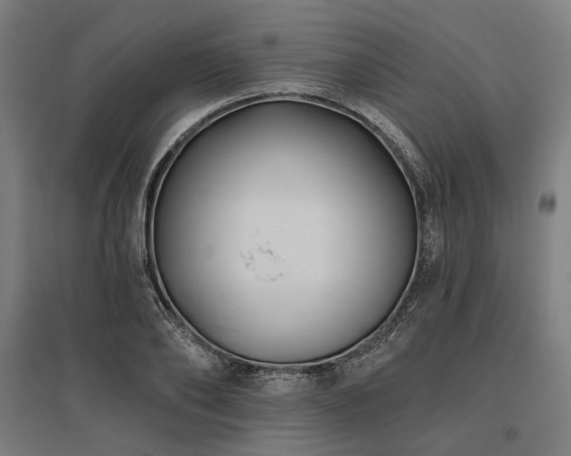 X0000096150886200801181200