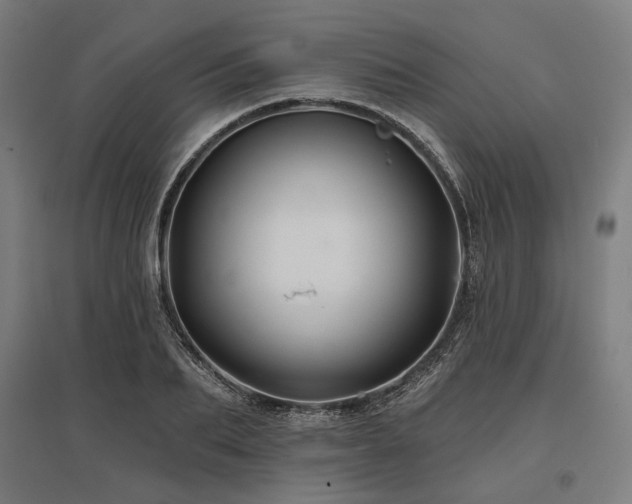 X0000096150887200801181200