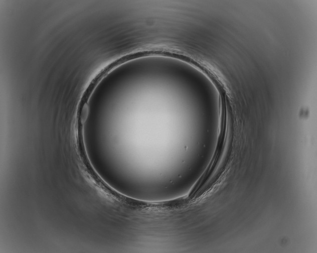 X0000096150888200801181200